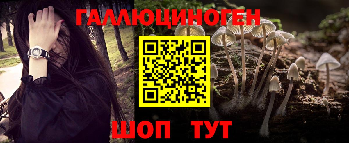 Галлюциногенные грибы Psilocybine cubensis  даркнет сайт  Галлюциногенные грибы ЛСД  Артём  Вход с VPN 