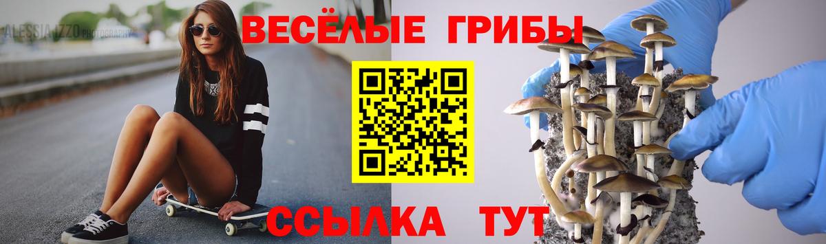 Псилоцибиновые грибы GOLDEN TEACHER  Галлюциногенные грибы мицелий  Артём 